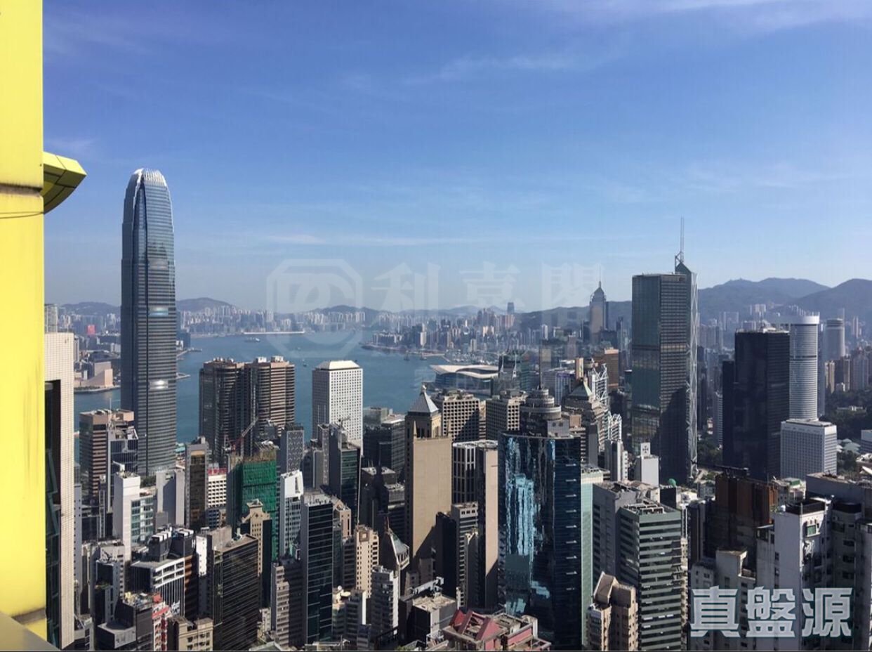 輝煌豪園 極高層 B室 西半山