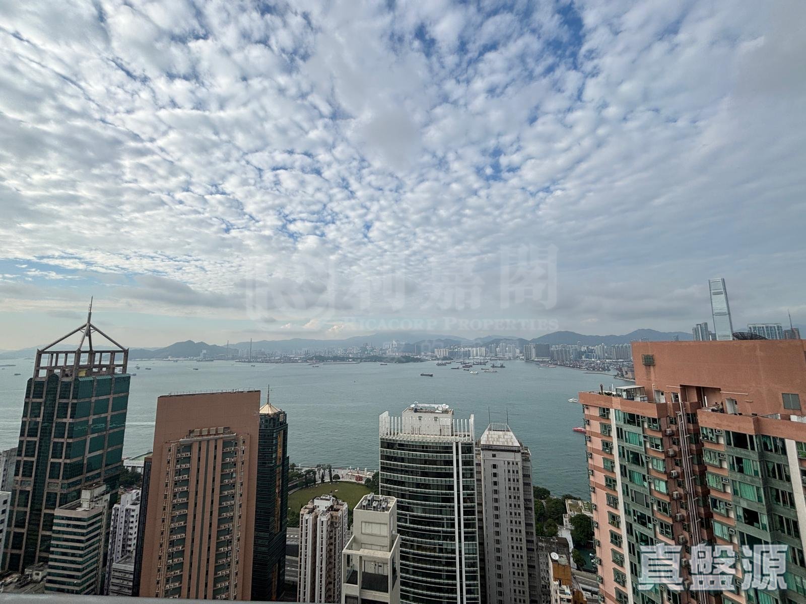 盈峰一號 極高層 B室 中上環/西區