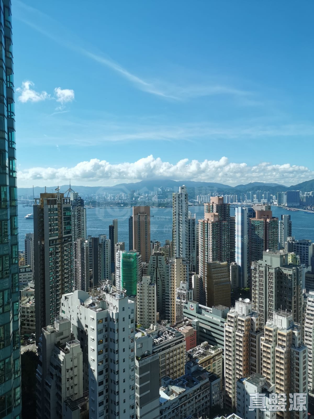 羅便臣道80號 2座