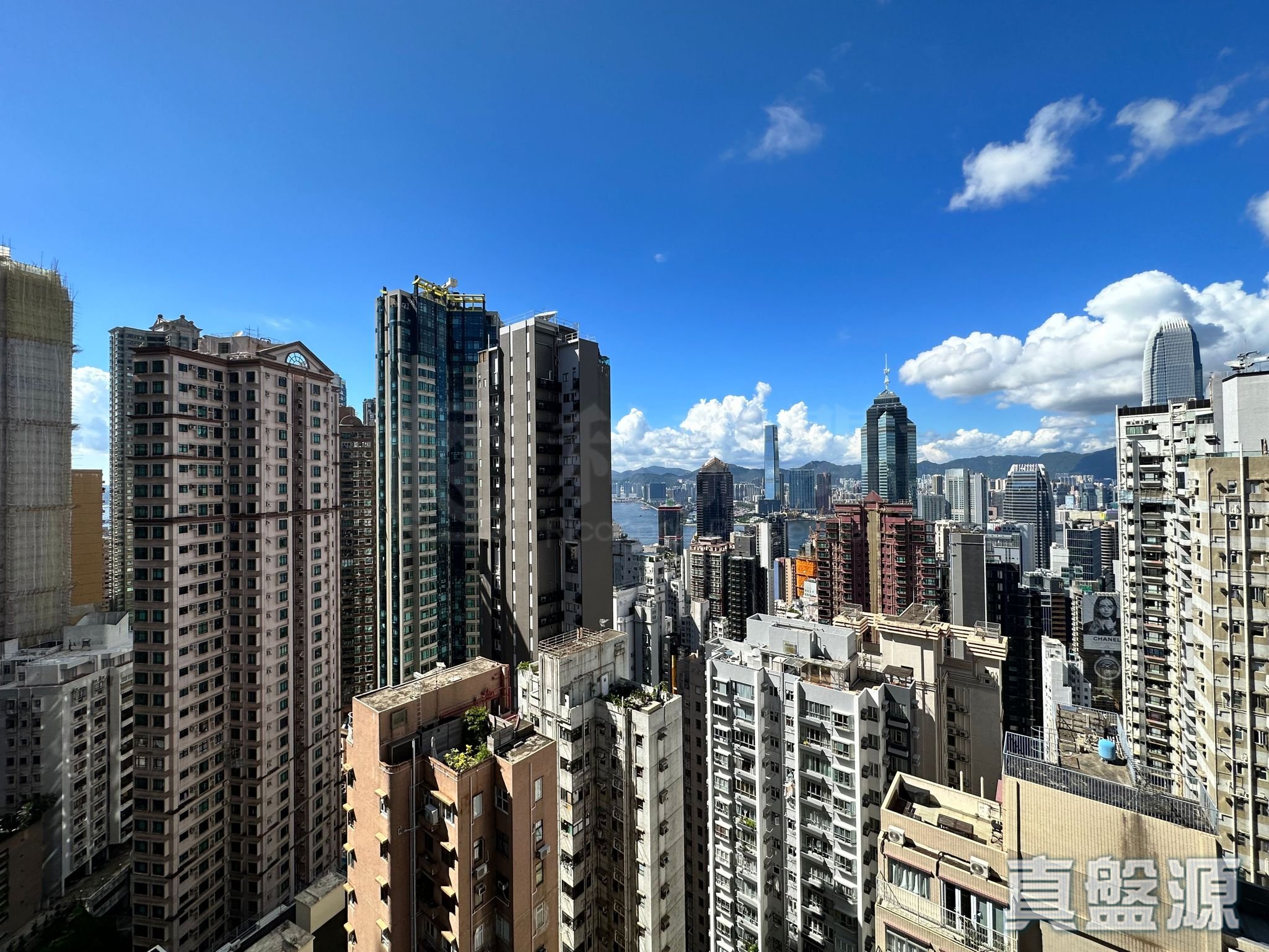 罗便臣道31号 高层 A室 西半山