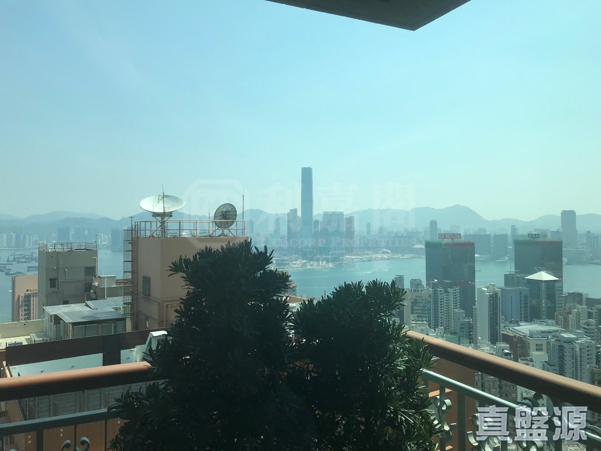 柏道2號 高層 C室 西半山