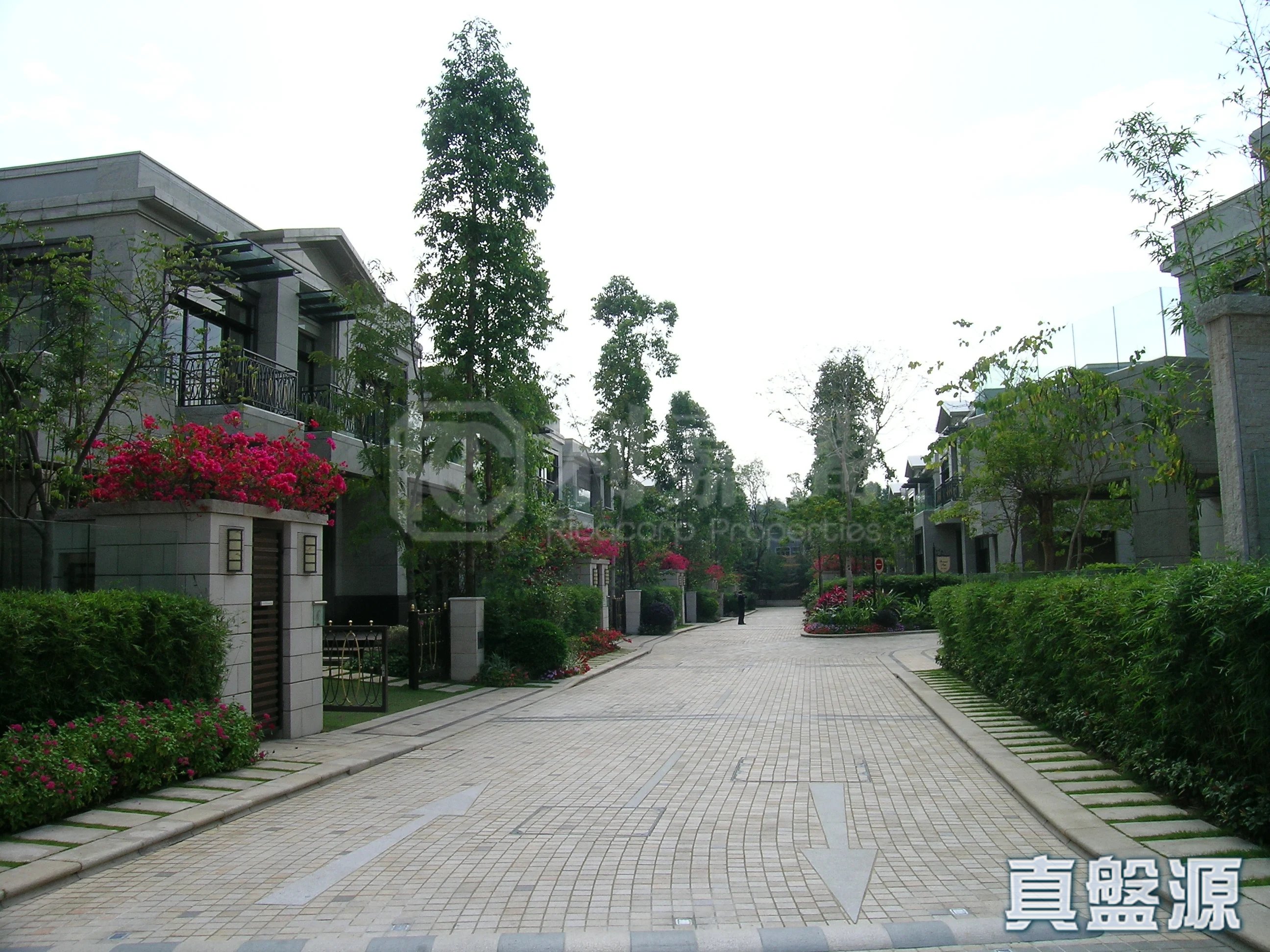 御林皇府 上水/粉岭/古洞