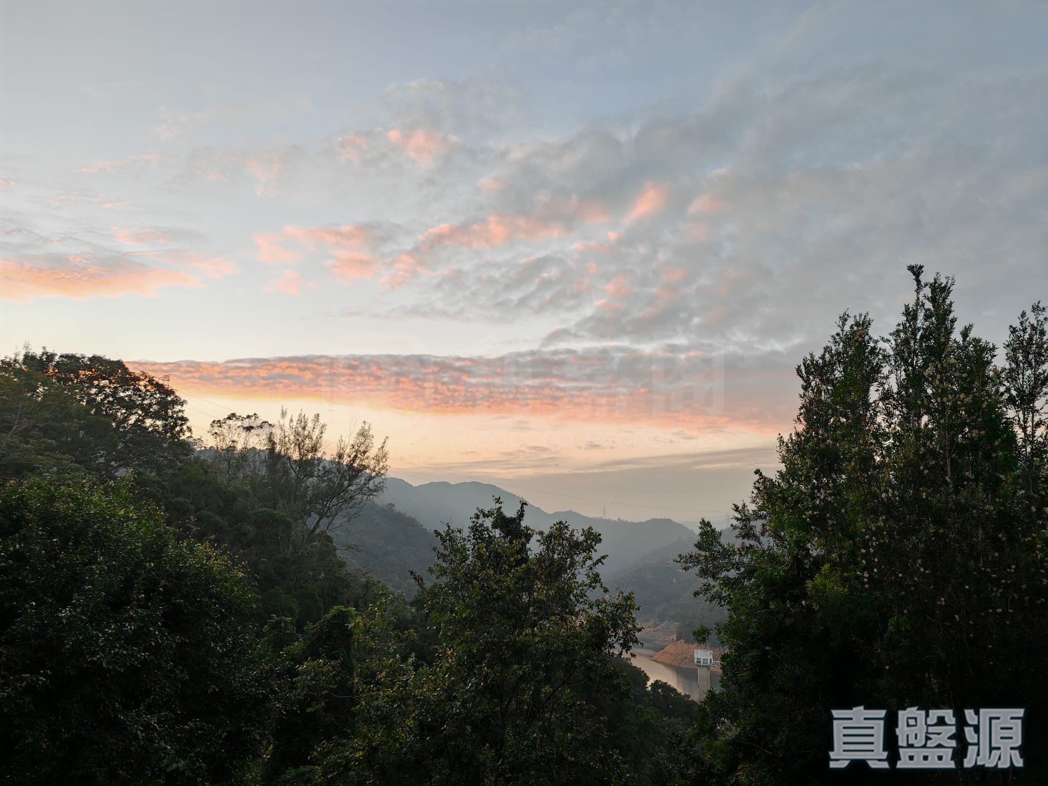 湖景花园 5座 中层 大围