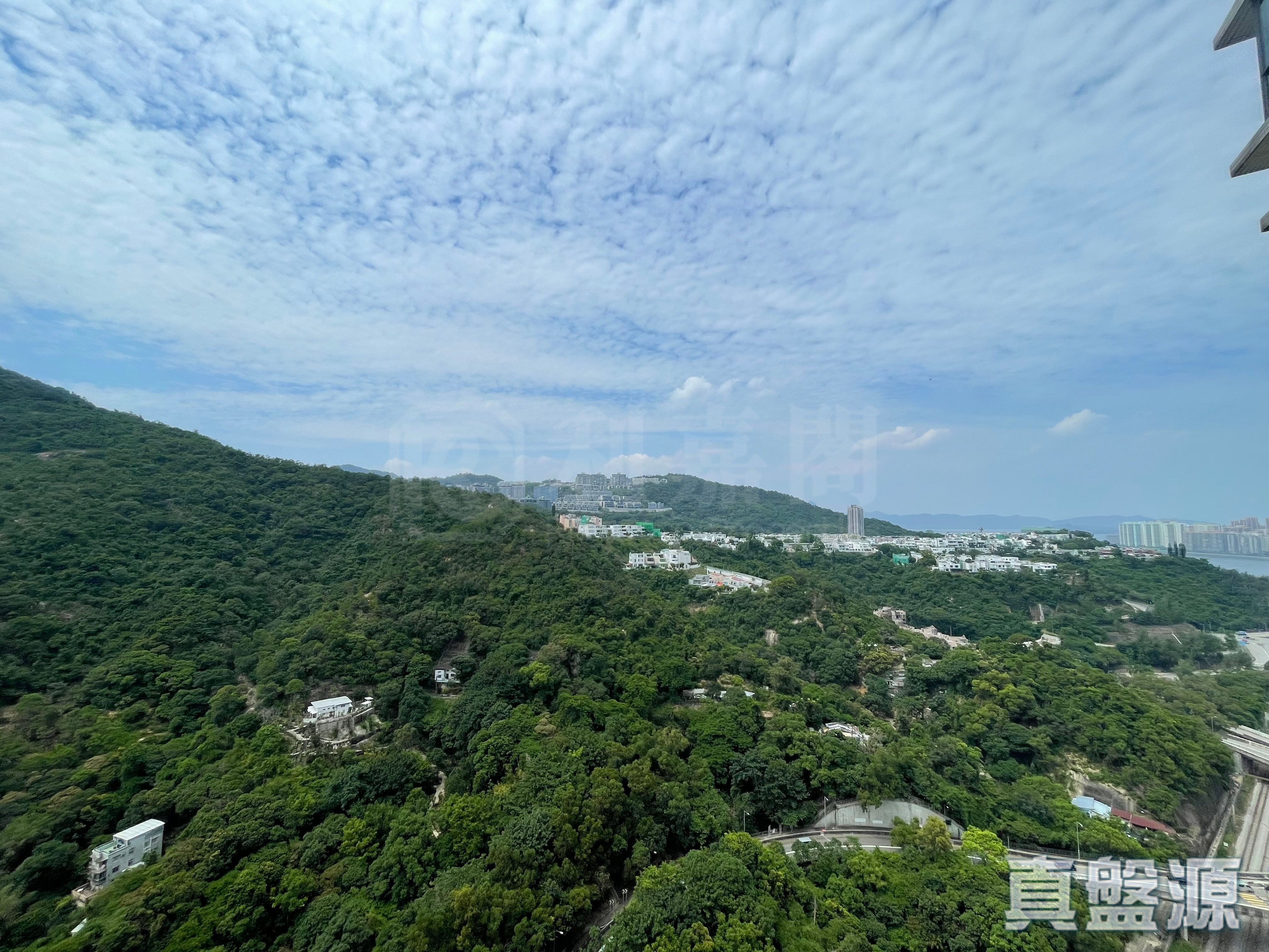 骏景园 2期 11座 高层 沙田/火炭/九肚山