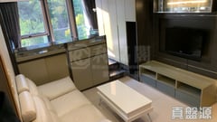 壹号云顶 2期 云顶峰 云顶峰 中层 05室 沙田/火炭/九肚山