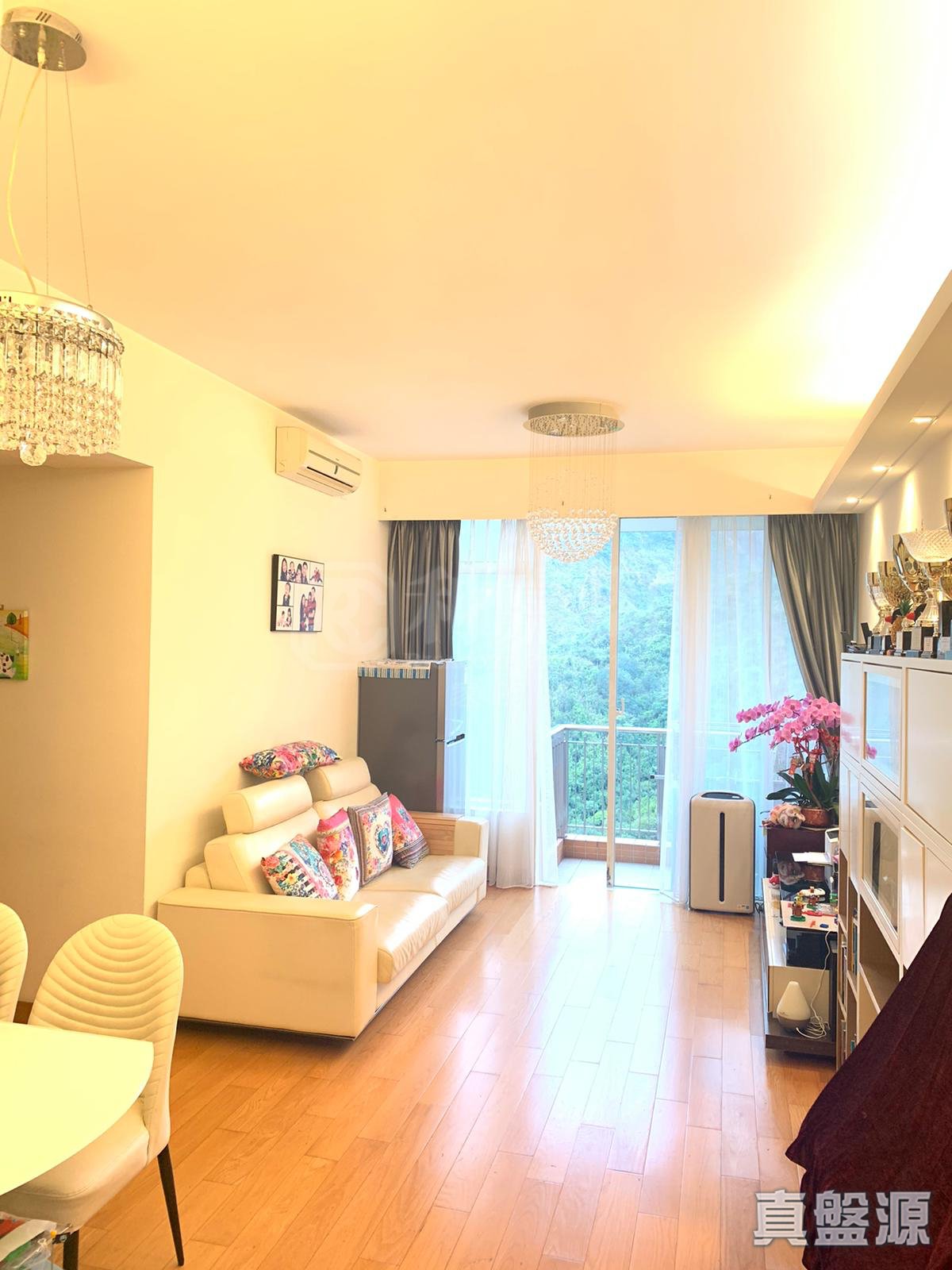 晉名峰 D座 高層 C室 沙田/火炭/九肚山