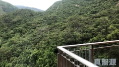 晉名峰 D座 低層 C室 沙田/火炭/九肚山