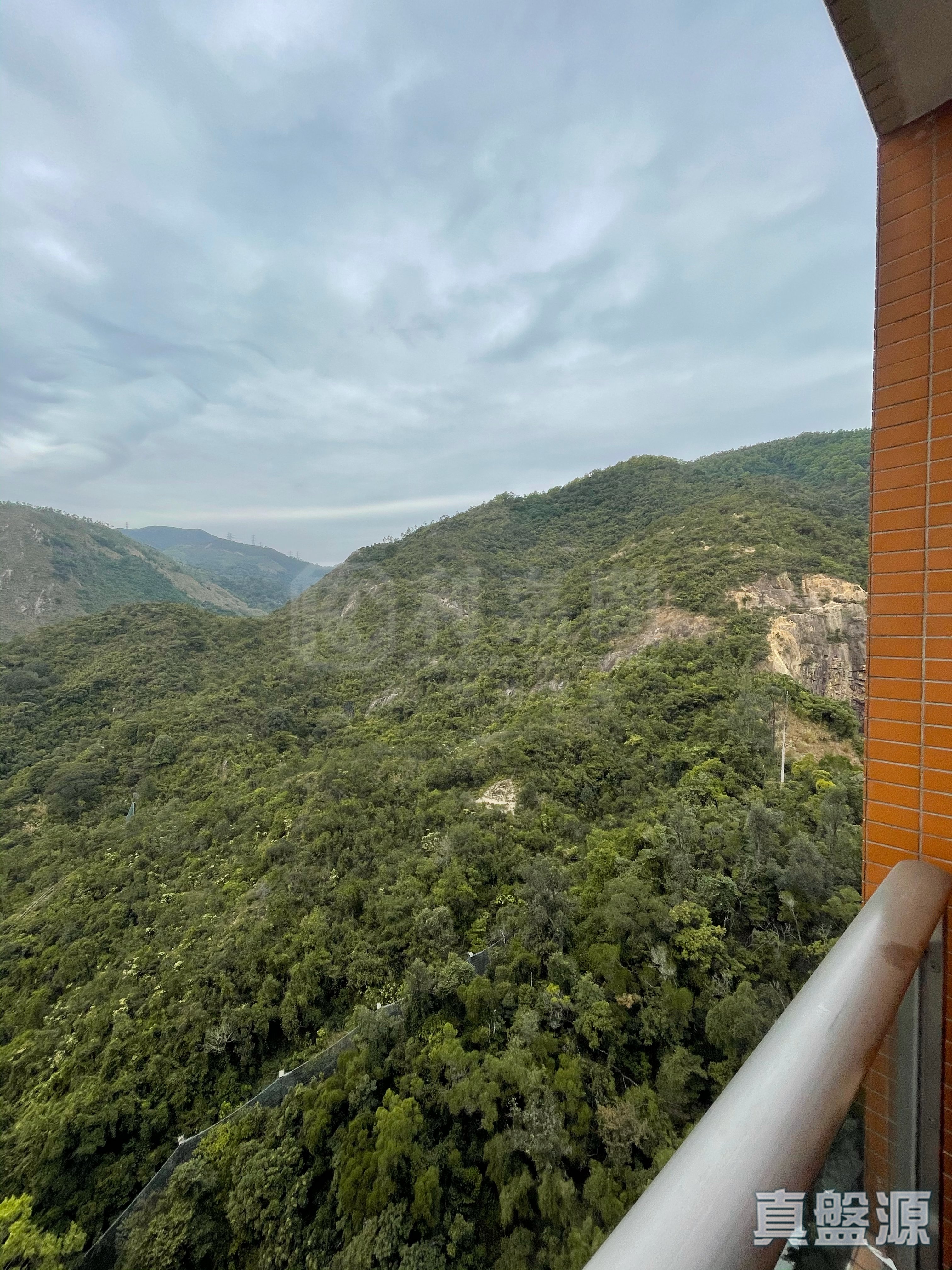 晉名峰 C座 高層 C室 沙田/火炭/九肚山