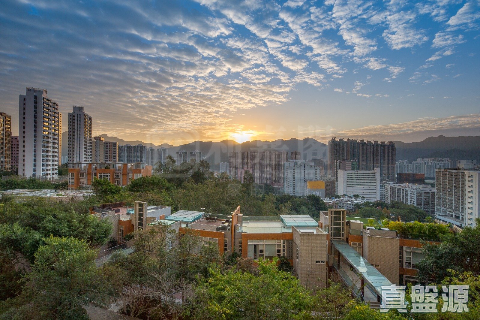 晉名峰 D座 低層 A室 沙田/火炭/九肚山