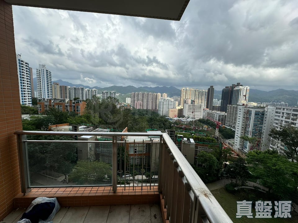 晉名峰 D座 低層 B室 沙田/火炭/九肚山