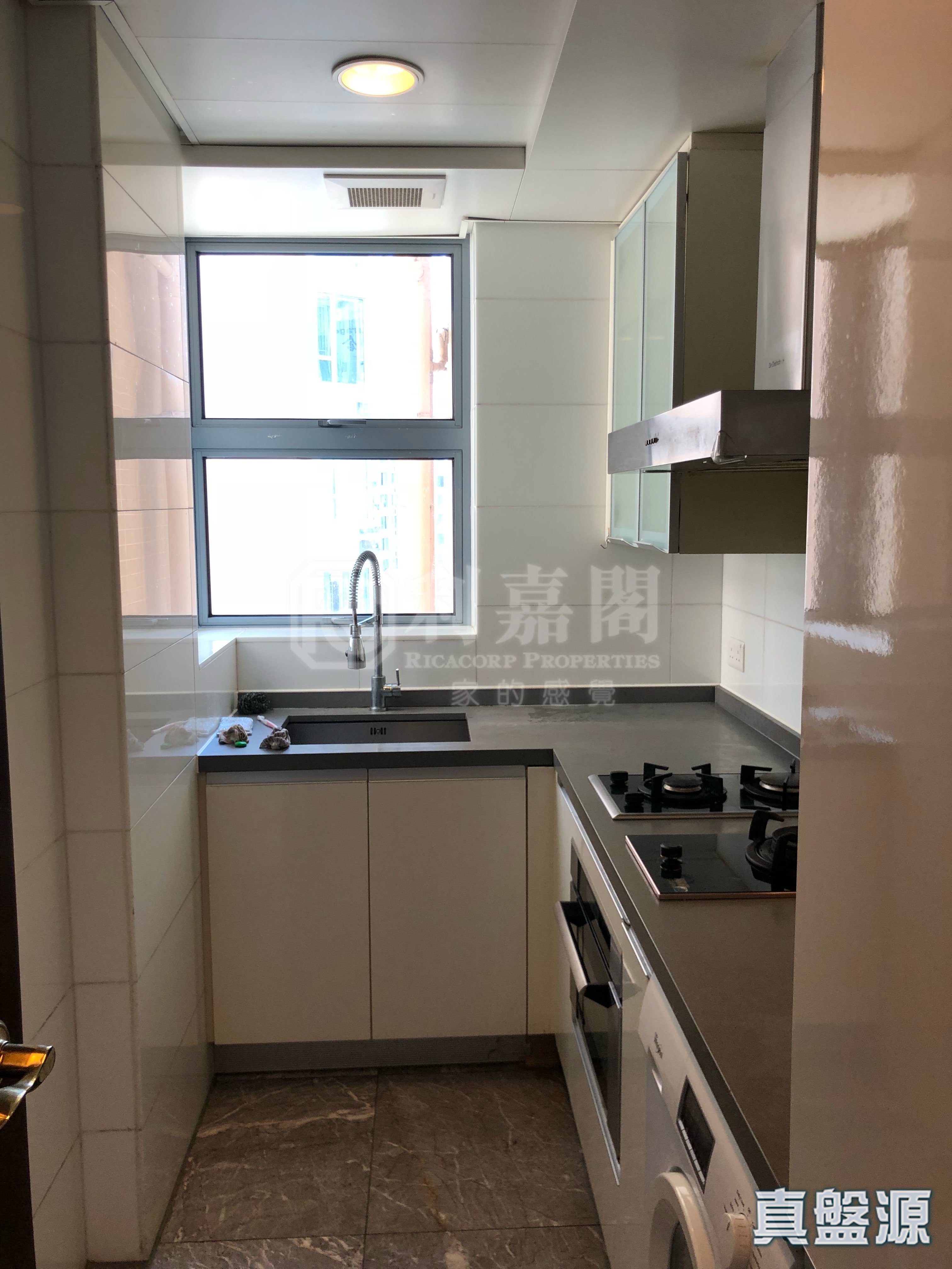 御龙山 10座 低层 C室 沙田/火炭/九肚山