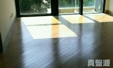 壹号云顶 2期 云顶峰 云顶峰 高层 10室 沙田/火炭/九肚山