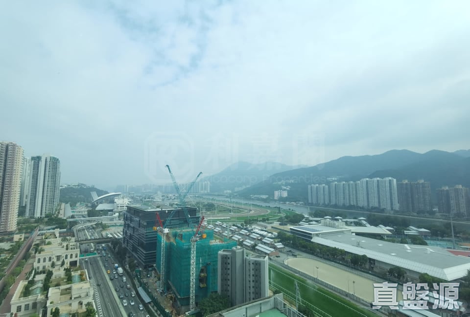 THE PALAZZO BLOCK 8 Medium Floor Zone Flat B Sha Tin/Fo Tan/Kau To Shan