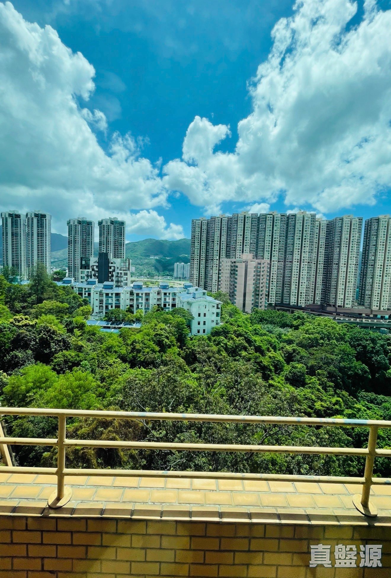 艳霞花园 2座 高层 沙田/火炭/九肚山