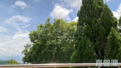 馬鈴徑85-87號 沙田/火炭/九肚山