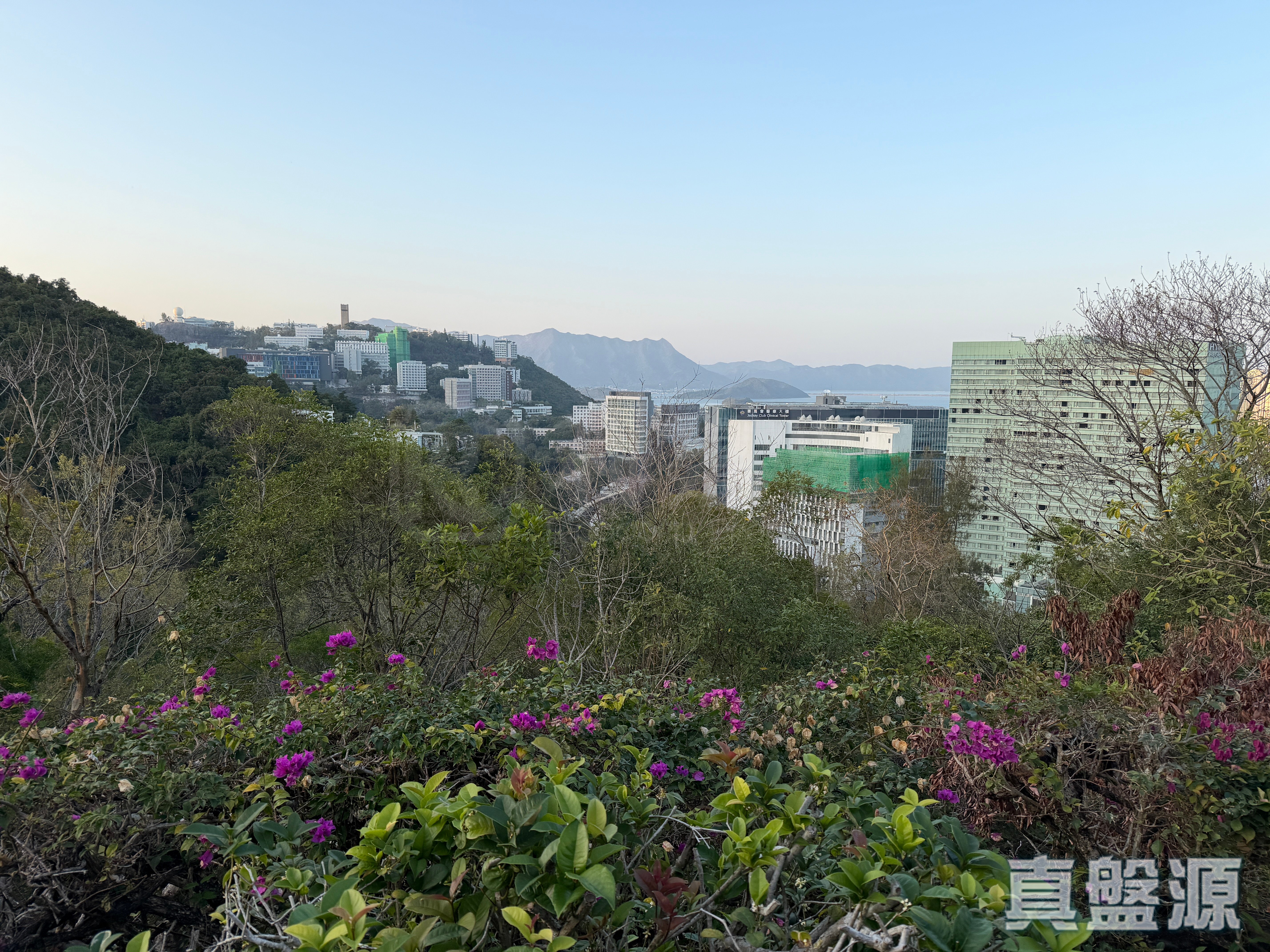 馬鈴徑85-87號 沙田/火炭/九肚山