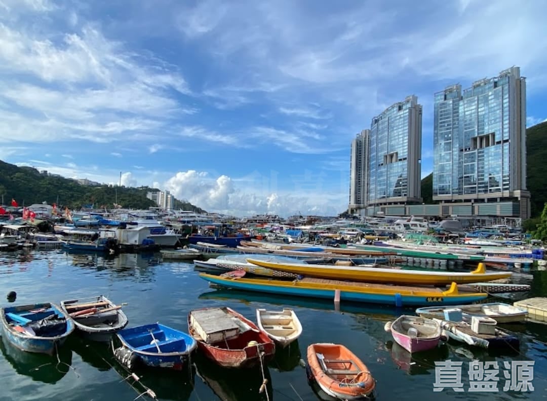 深灣軒 2座 低層 D室 鴨脷洲