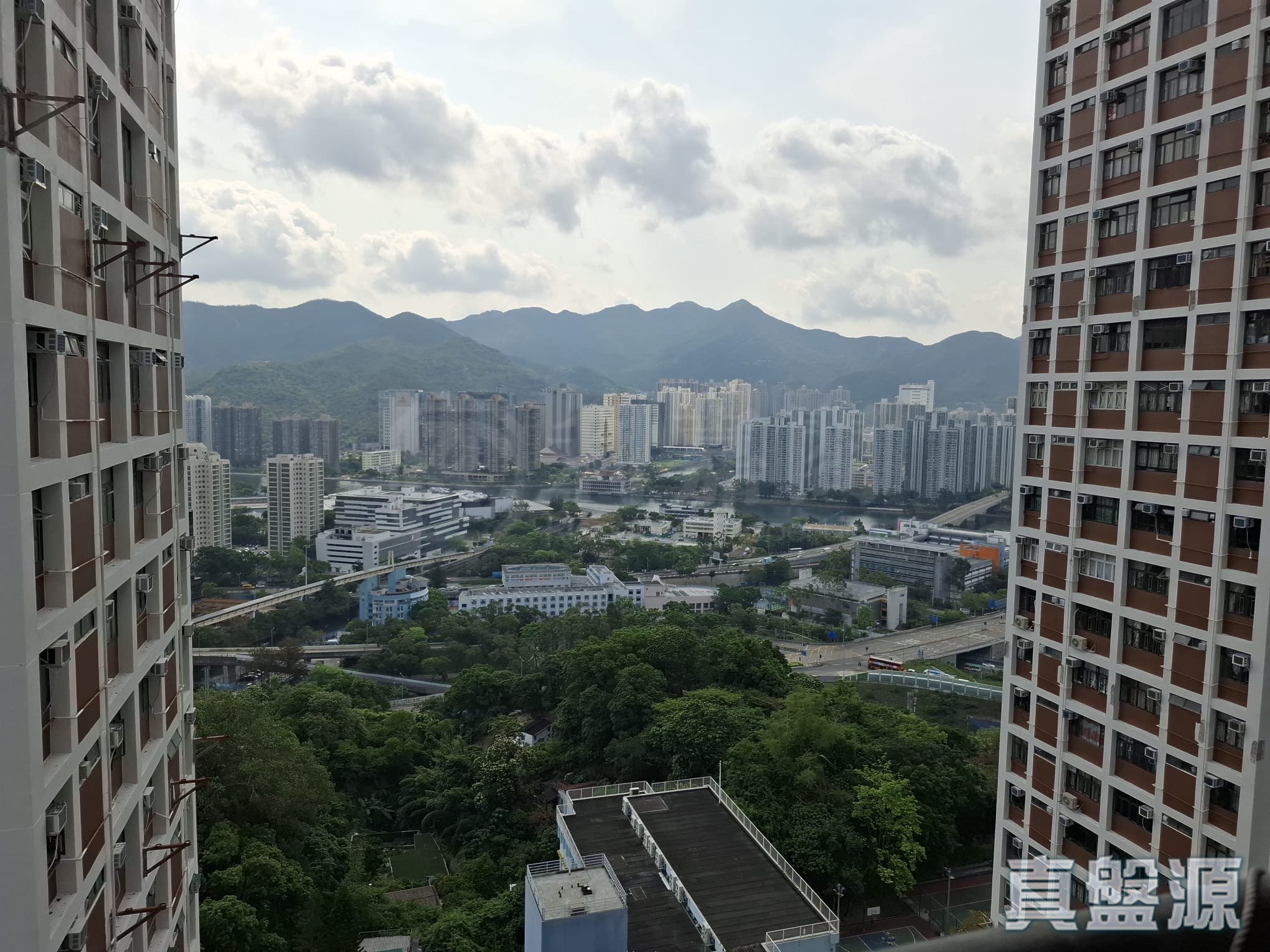 穗禾苑 豐逸閣 (B座) 高層 2室 沙田/火炭/九肚山