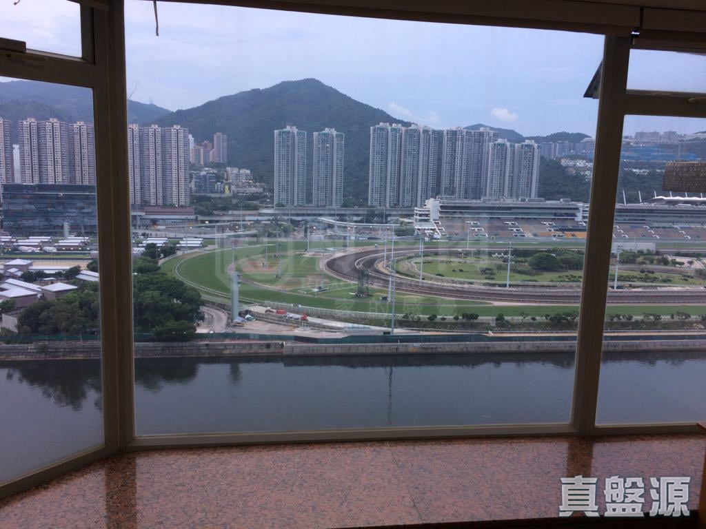 碧濤花園 1期 百利閣( 2座) 高層 A室 沙田/火炭/九肚山