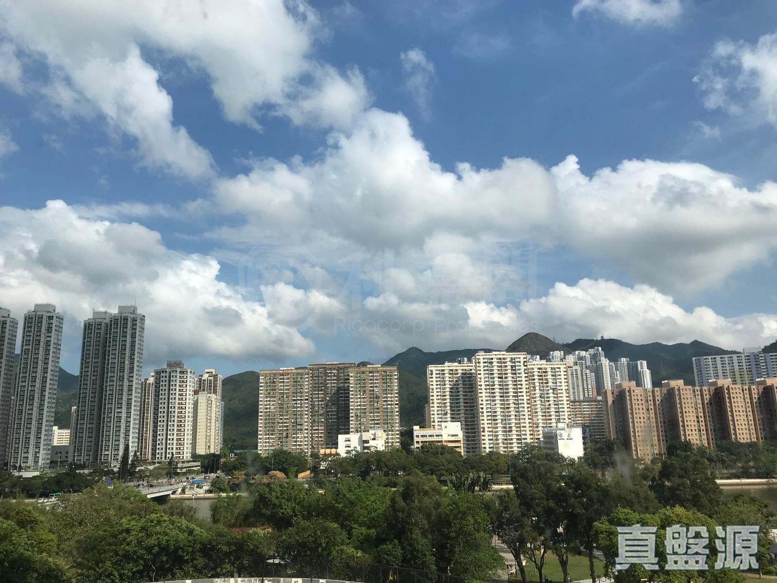 沙田中心 东宁大厦 (A座) 低层 F室 沙田/火炭/九肚山