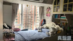 HILTON PLAZA Block B Medium Floor Zone Flat 2 Sha Tin/Fo Tan/Kau To Shan