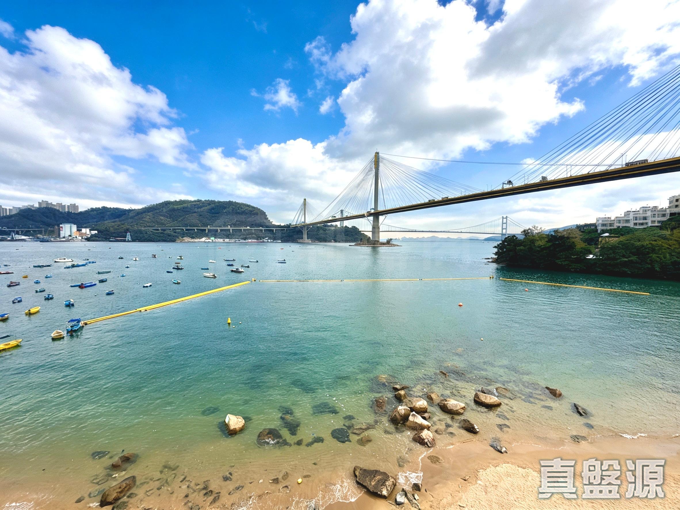 嘉御龍庭 深井/青山公路