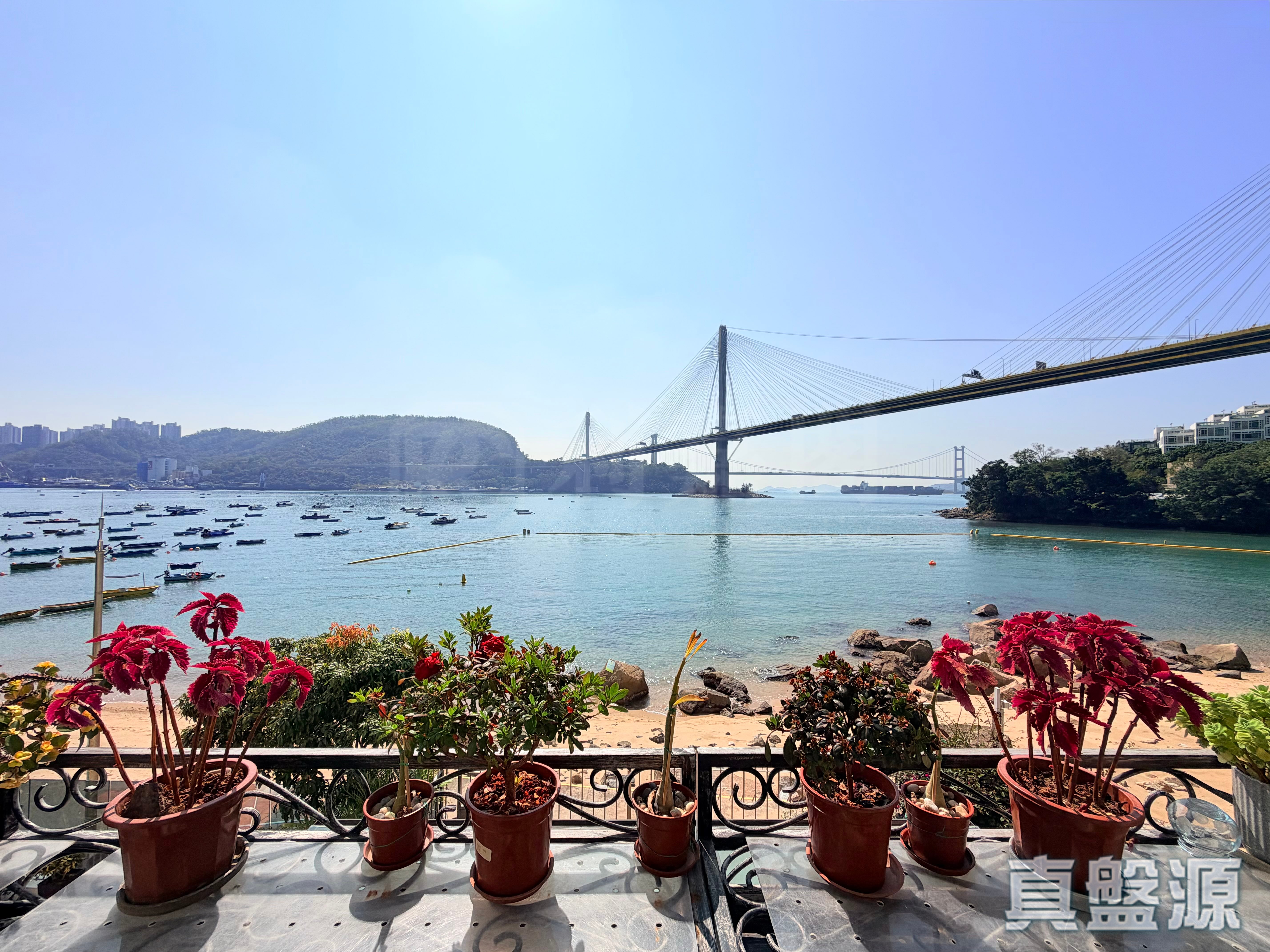 嘉御龍庭 深井/青山公路