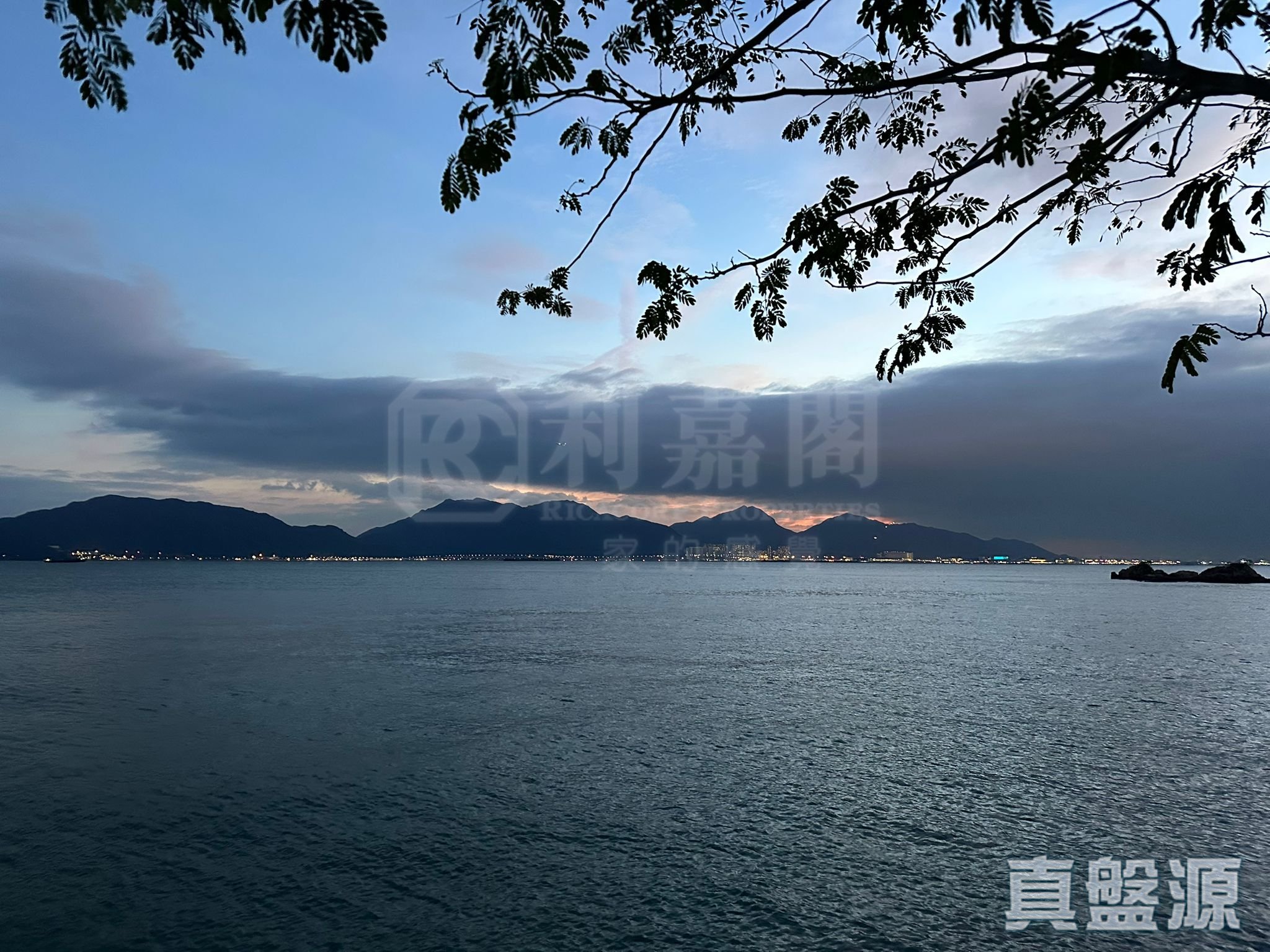 龙珠岛别墅 东座 高层 深井/青山公路