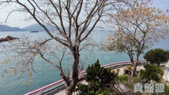 龍珠島別墅 F2座 高層 深井/青山公路