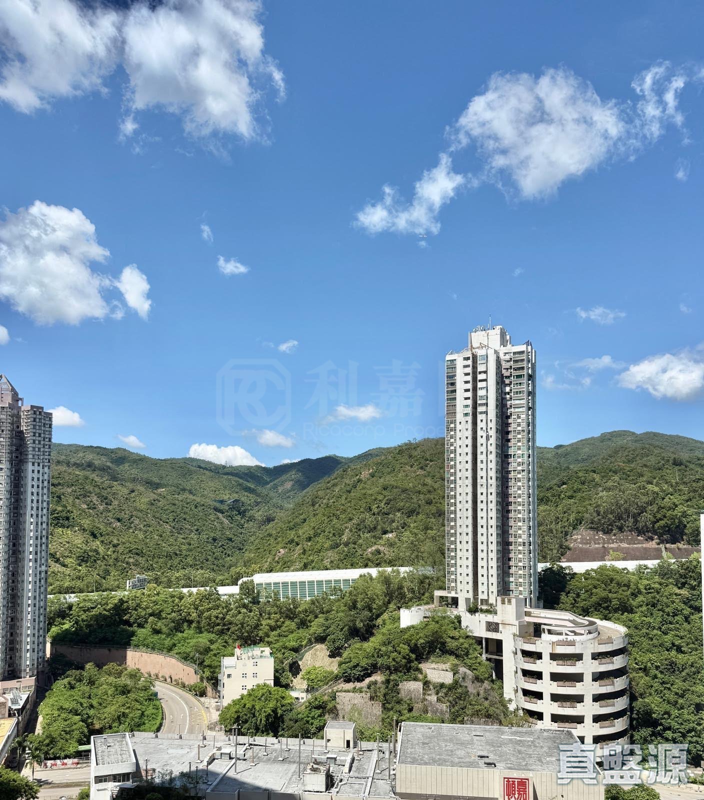 碧堤半島 3期 1座 中層 F室 深井/青山公路