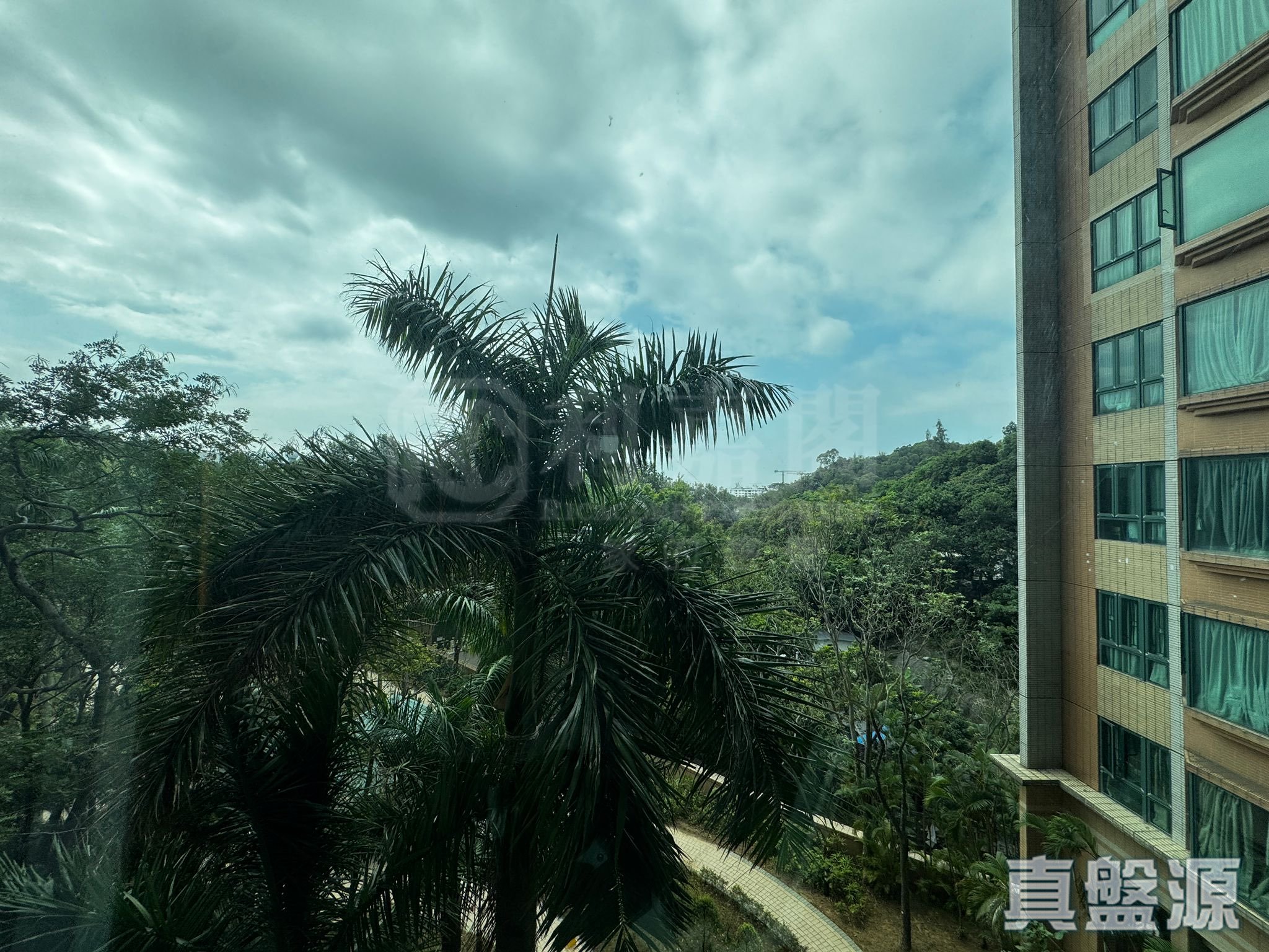 帝涛湾 浪琴轩 6座 低层 A室 深井/青山公路