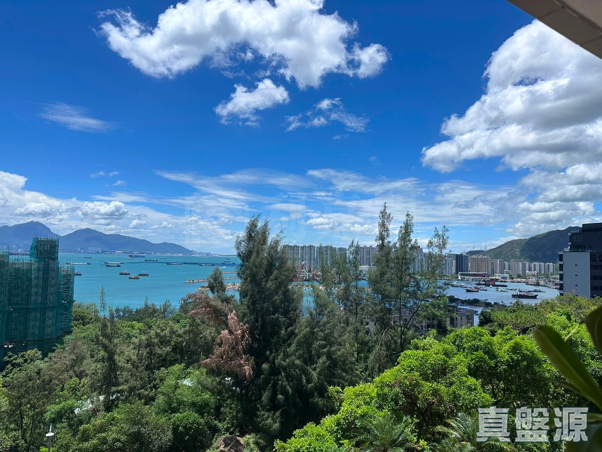 青榕臺 4座 低層 G室 深井/青山公路