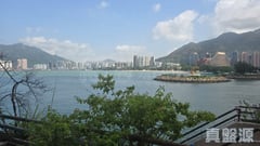 龍珠島花園 5座 低層 深井/青山公路