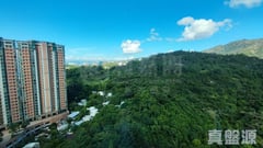 帝涛湾 海琴轩 10座 极高层 B室 深井/青山公路