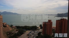 香港黃金海岸 1座 極高層 B室 深井/青山公路