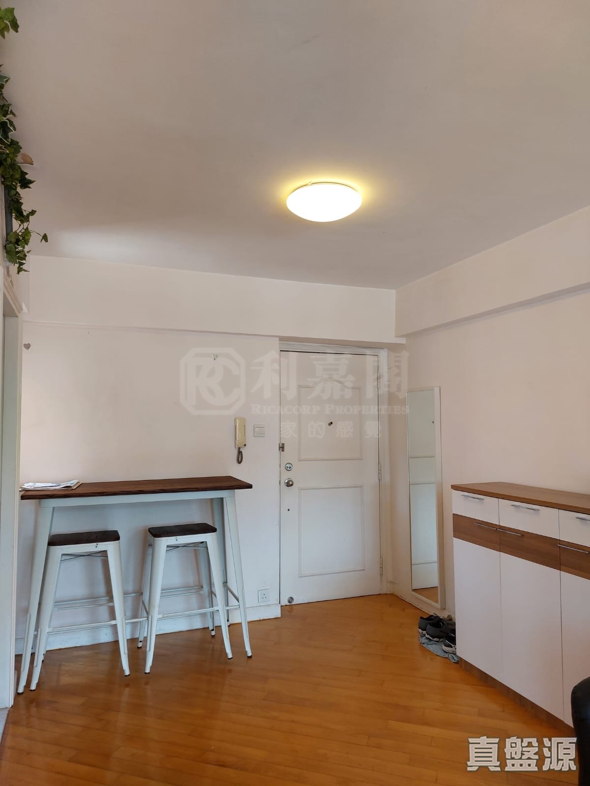 香港黃金海岸 1座 低層 D室 深井/青山公路