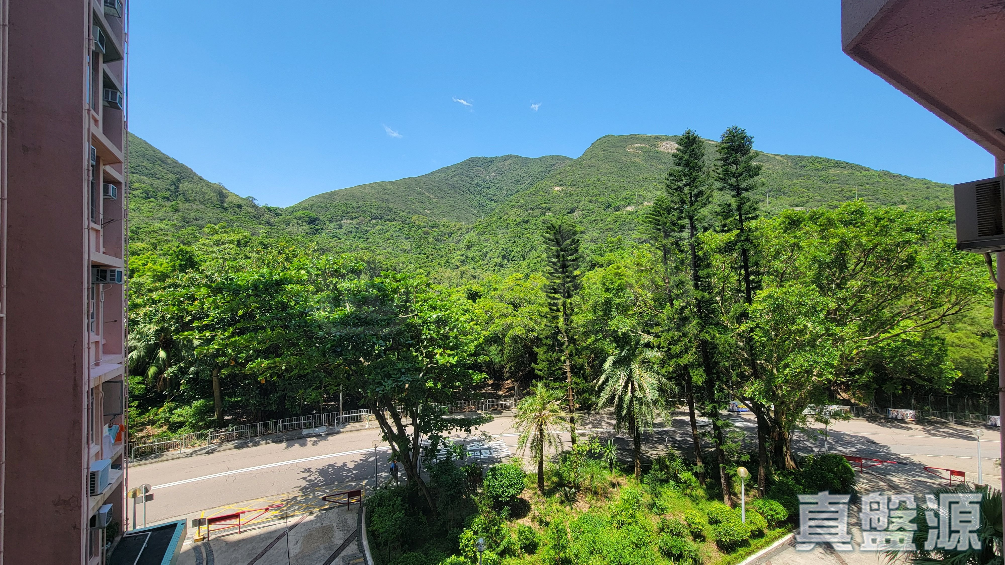 龍欣苑 龍駿閣 (A座) 中層 16室 山頂/南區