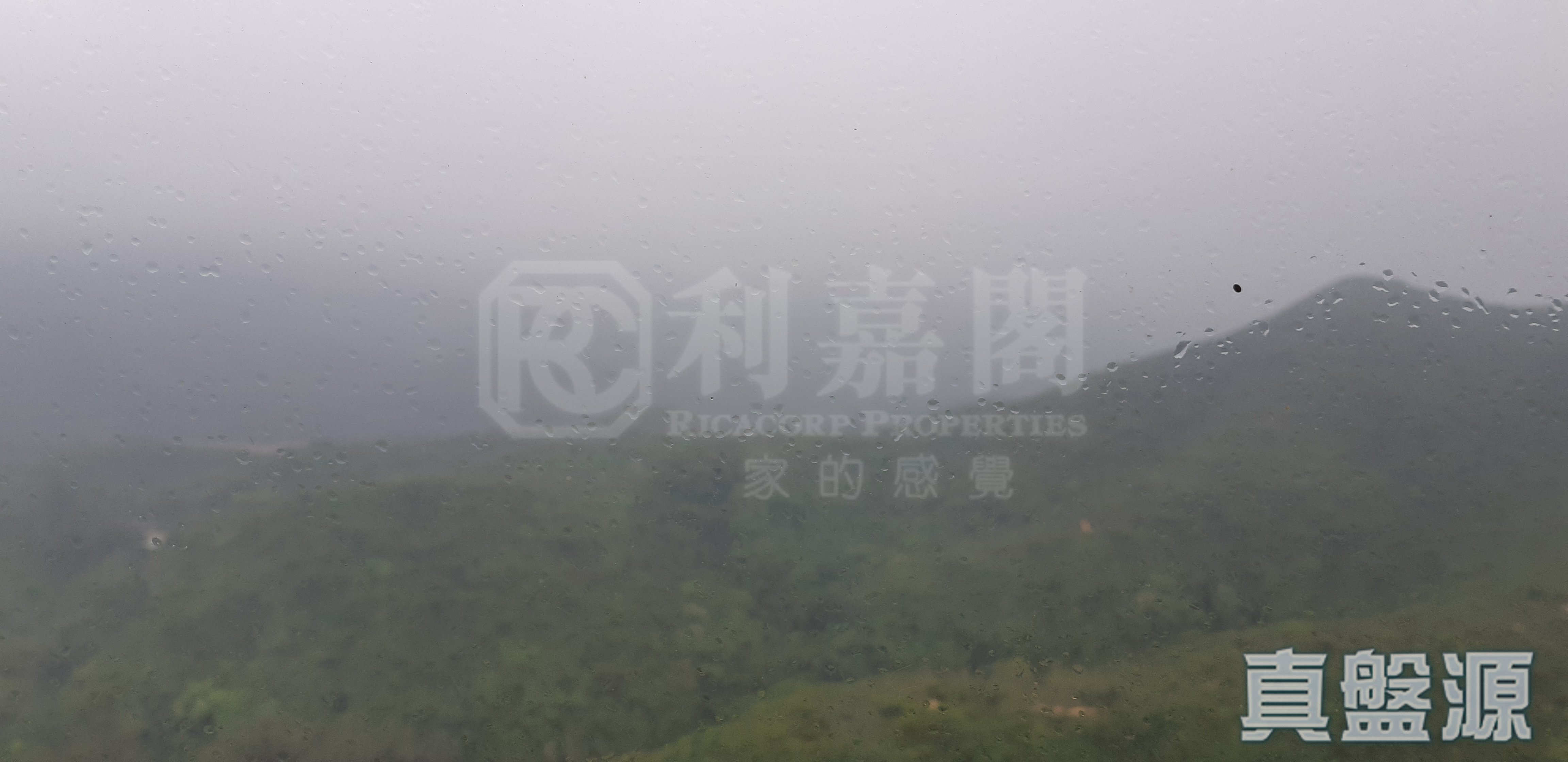 陽明山莊 山景園 3座 低層 27室 山頂/南區