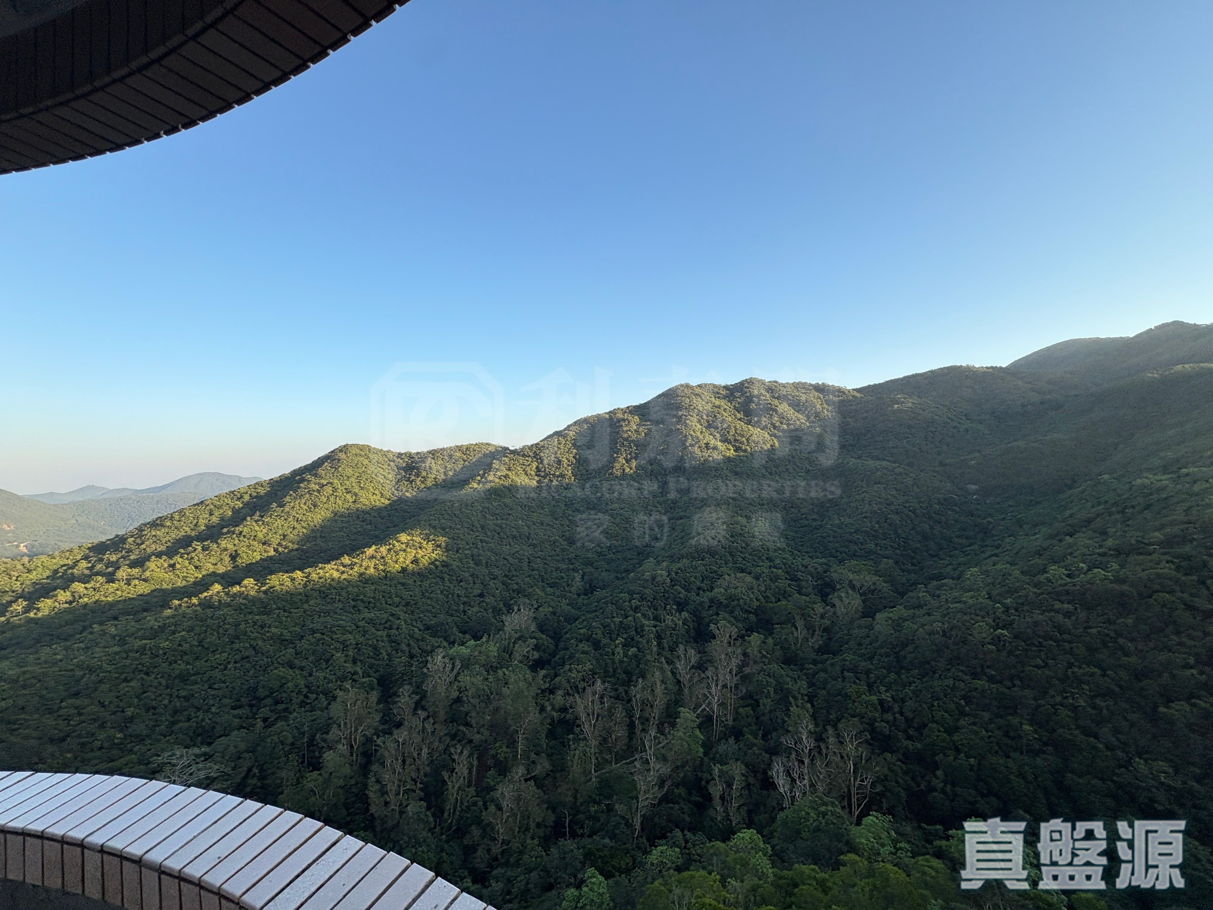 陽明山莊 凌雲閣 7座 低層 49室 山頂/南區