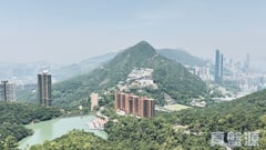 陽明山莊 摘星樓 15座 高層 山頂/南區