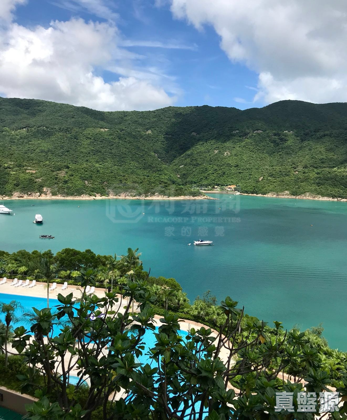 红山半岛 A区(4期) 3座 高层 山顶/南区