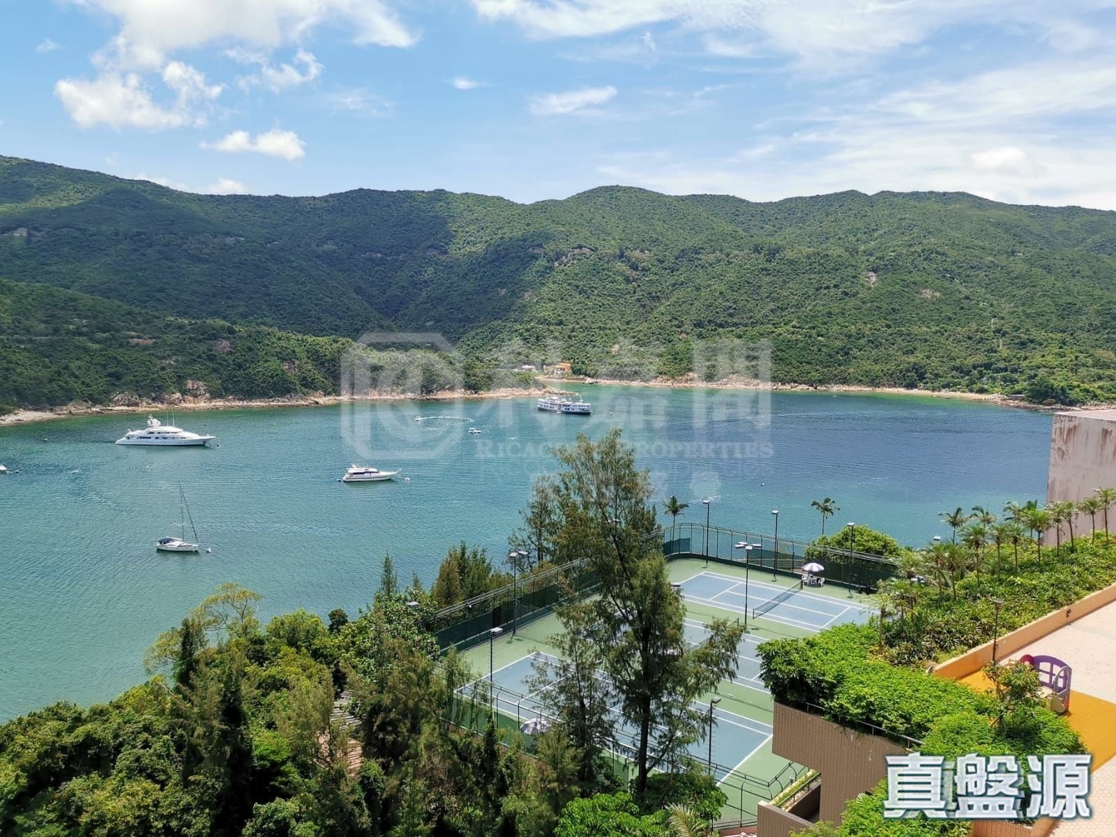 红山半岛 A区(4期) 6座 低层 山顶/南区