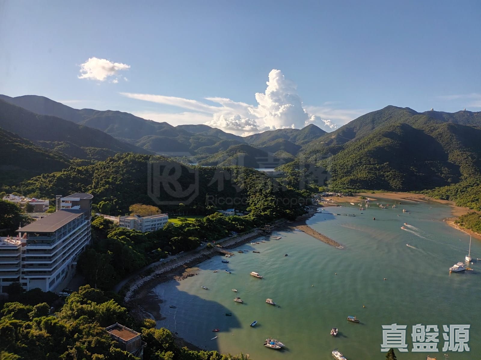 红山半岛 A区(4期) 8座 中层 山顶/南区