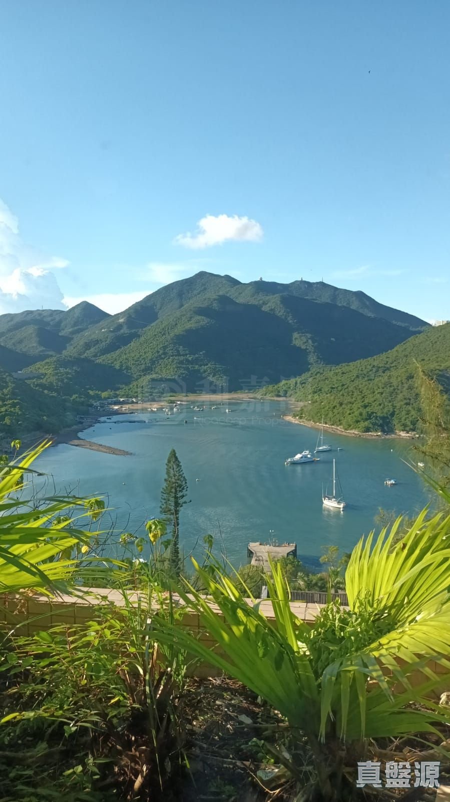 红山半岛 A区(4期) 10座 高层 山顶/南区