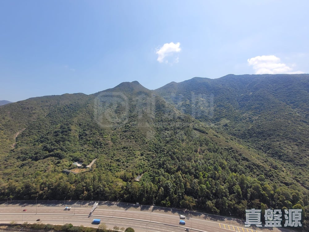 映灣園 2期 映濤軒 8座 高層 D室 東涌