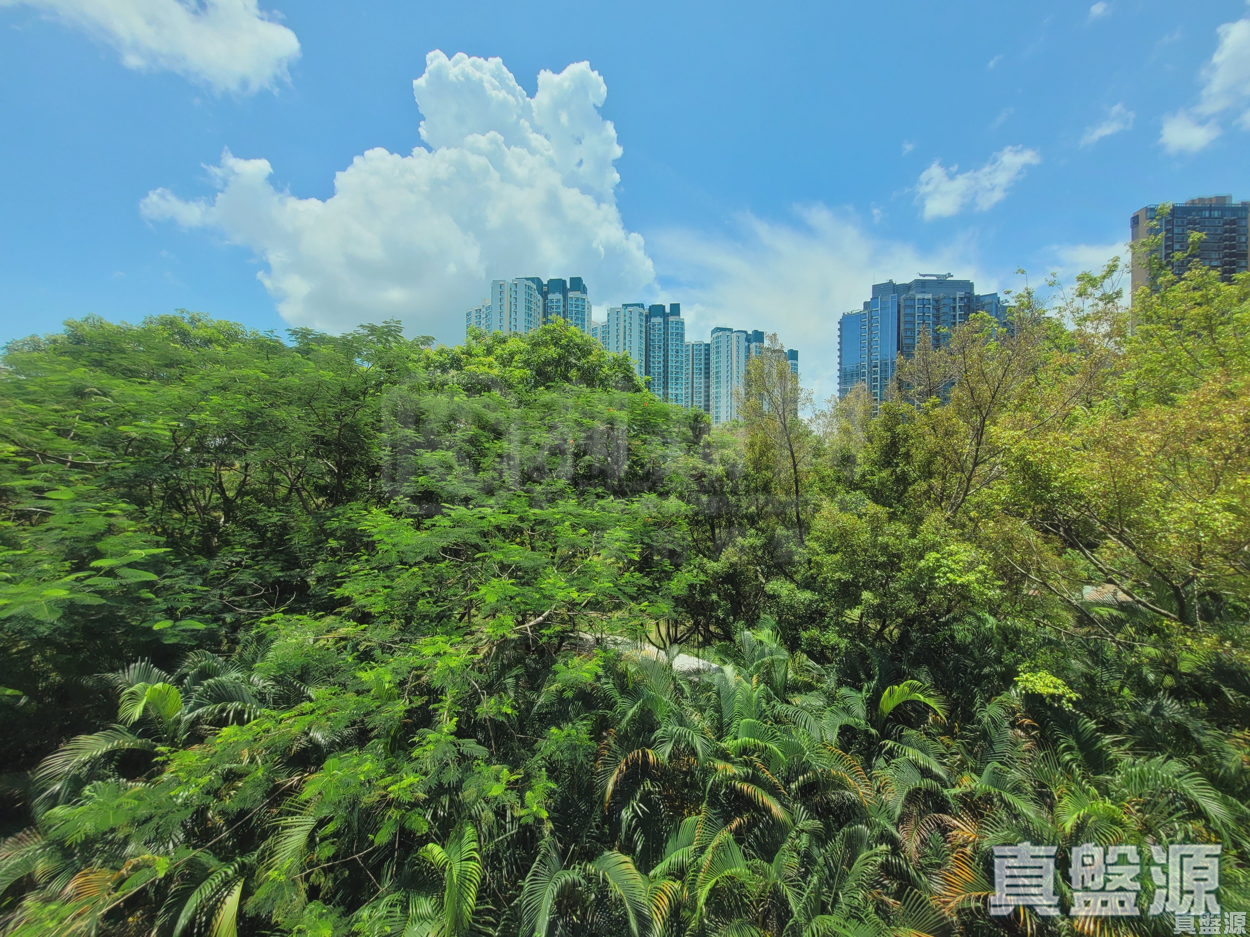 映灣園 5期 海珀名邸 東涌