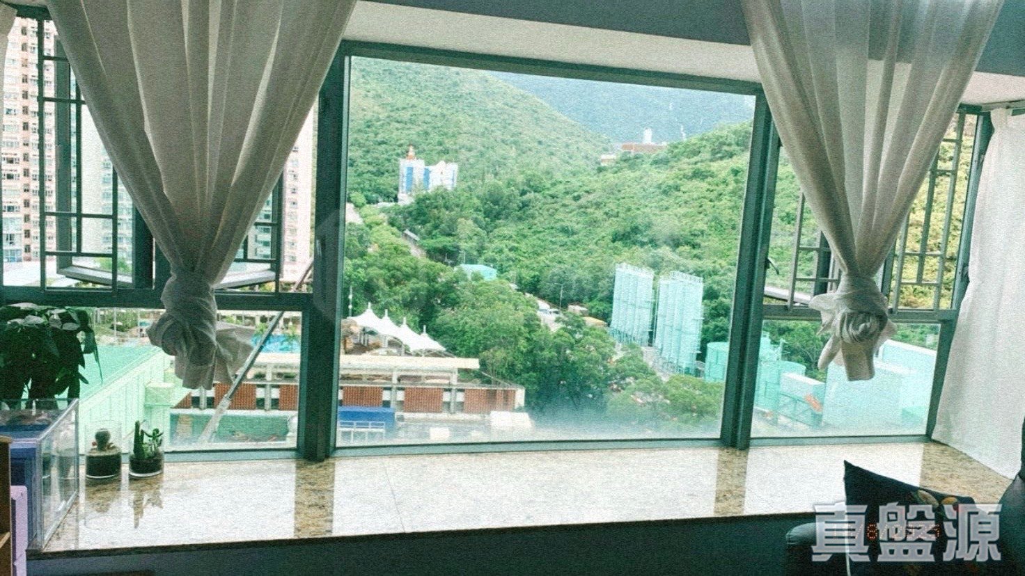 東堤灣畔 2期 8座 低層 D室 東涌