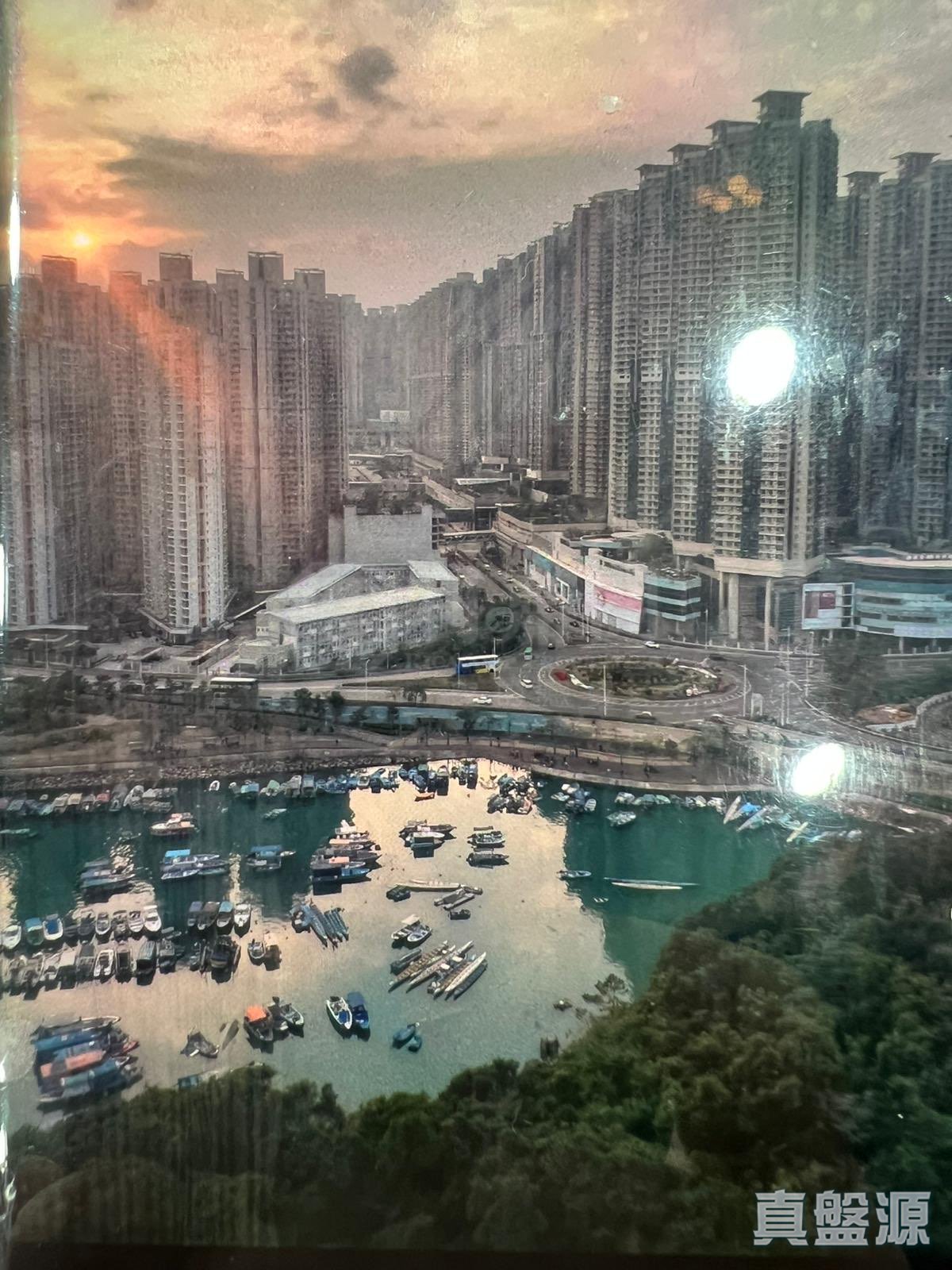 清水湾半岛 1期 1座 高层 D室 将军澳