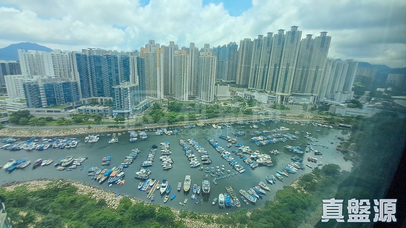 清水灣半島 2期 6座 高層 B室 將軍澳