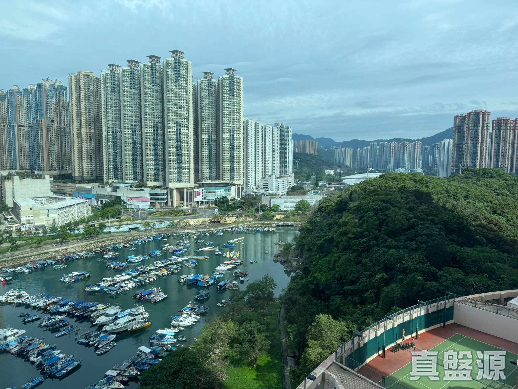 清水湾半岛 2期 6座 中层 D室 将军澳